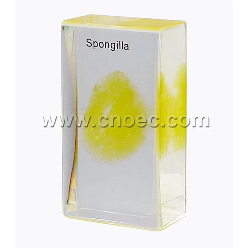 Crystal Specimen, Spongilla