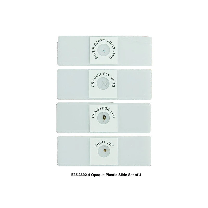 Ogenomskinlig plastslide-set om 4