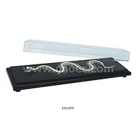 Snake Skeleton