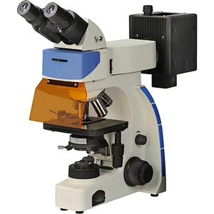 Fluorescent Microscope