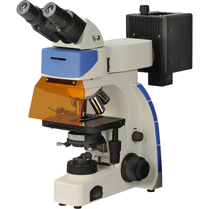 Fluorescent Microscope