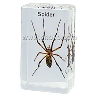 Crystal Specimen, Spider