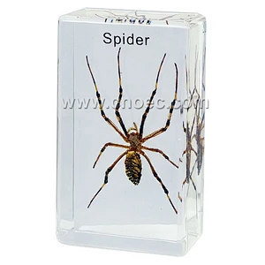 Crystal Specimen, Spider