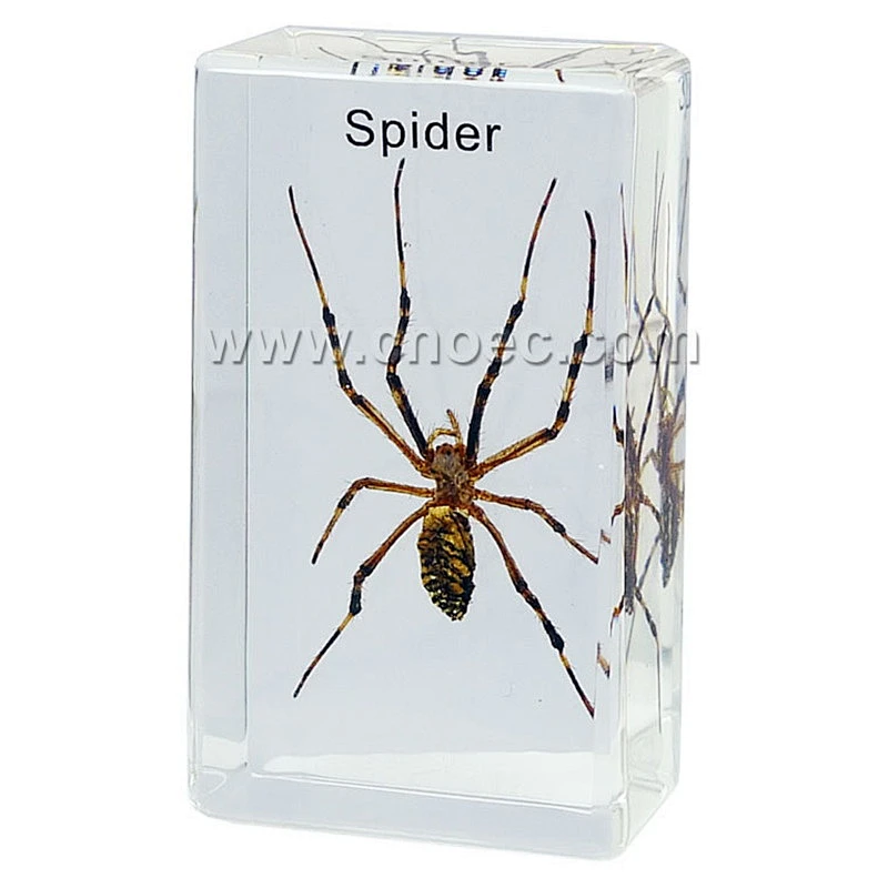 Crystal Specimen, Spider