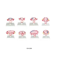 Human Development Set