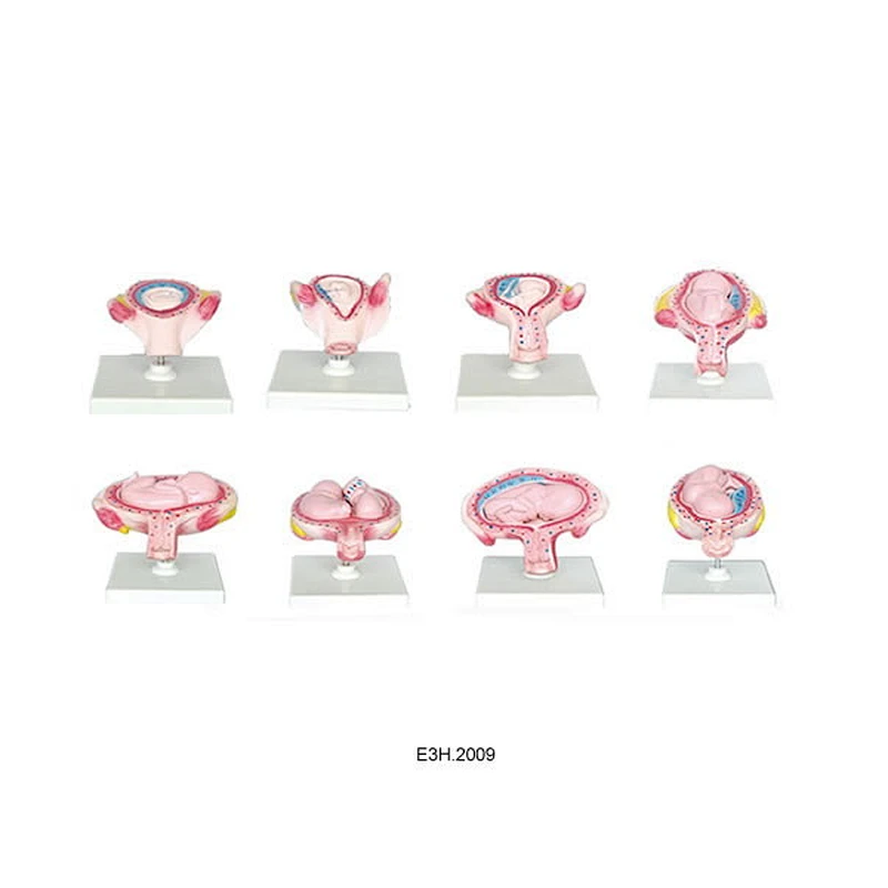 Human Development Set