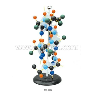 Protein Structure