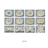 Cell Meiosis Model, 12 parts