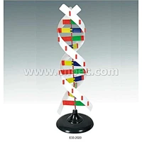 DNA Activity Model