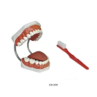 Tooth Hygiene Set
