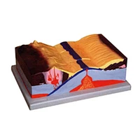 Modèle tectonique des plaques