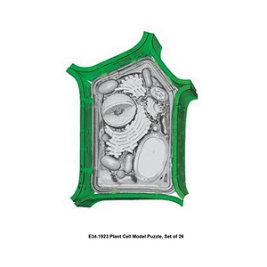 Casse-tête de modèle de cellule végétale, ensemble de 26