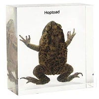 Hoptoad