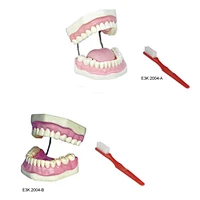 Tooth Hygiene Set