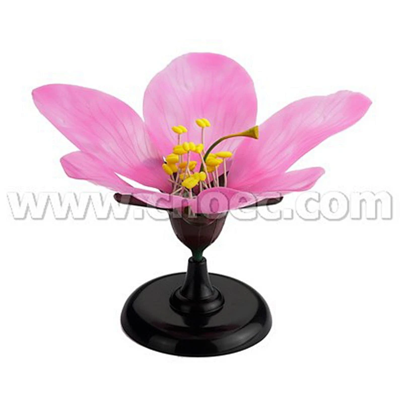 Peach Blossom modell