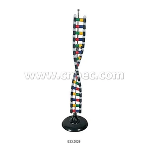 Kit di simulazione della struttura del DNA