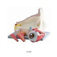 Giant Eye In Orbit I