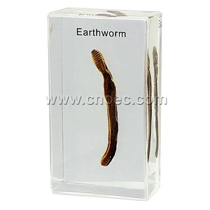 Crystal Specimen, Earth worm