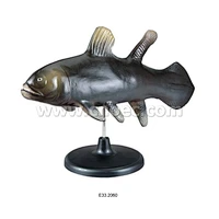 Model of Paleozoic Tropical Fish