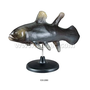 Model of Paleozoic Tropical Fish