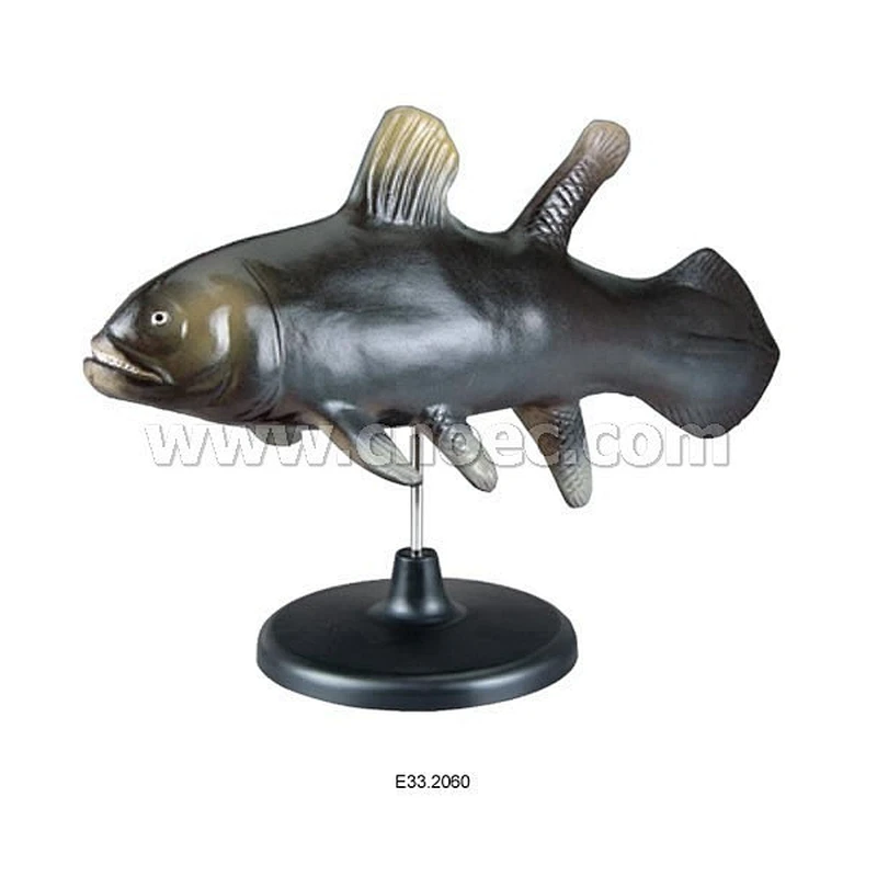Model of Paleozoic Tropical Fish