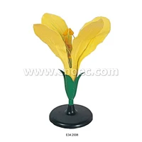Cabage Flower Model