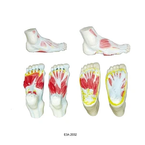 Foot Set