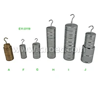Slotted Masses Set