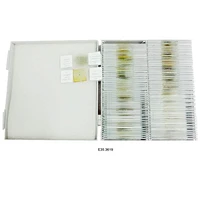 Đá Trượt, 100 Loại