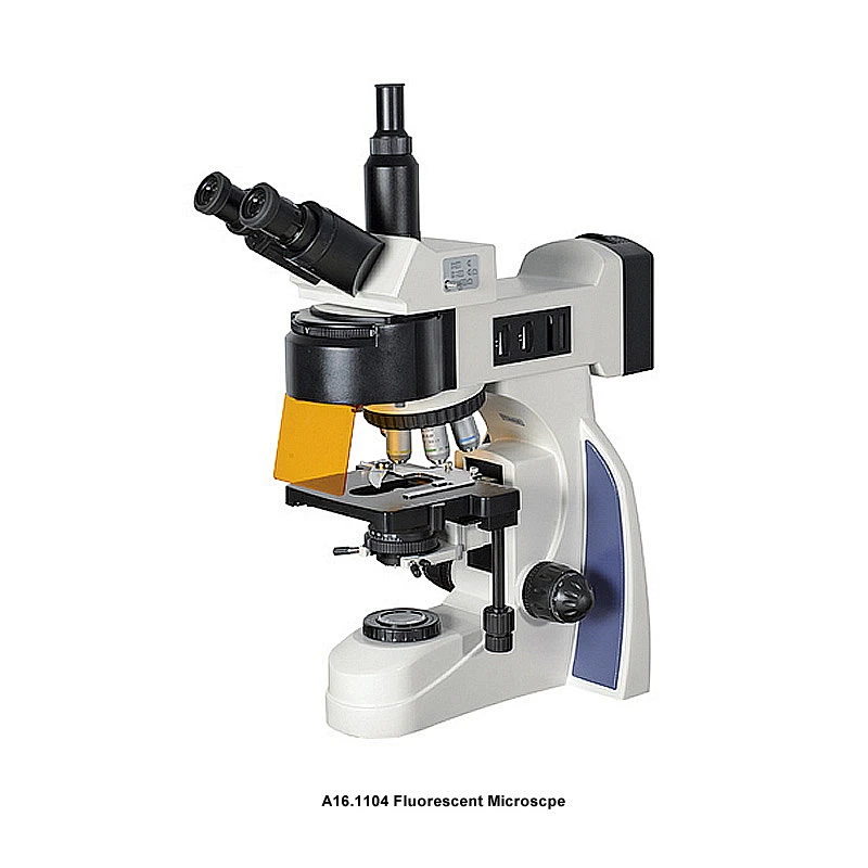 LED fluorescerende mikroskop