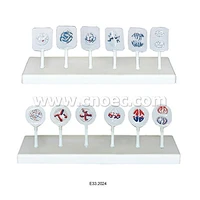 Mitosis Set