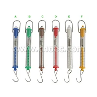 Color Spring Scale