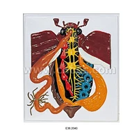 비틀의 릴리프 모델