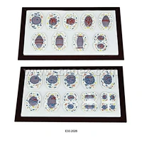 Animal Mitosis and Meiosis Set