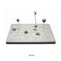 White Mold Model