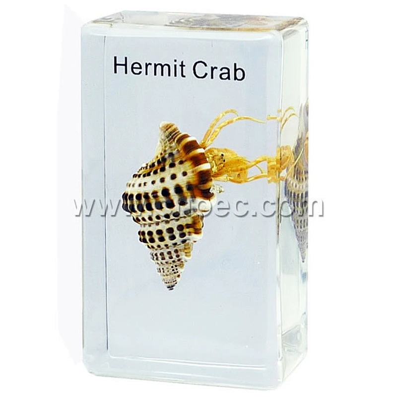 Crystal Specimen, Hermit Crab