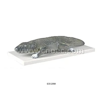 Model of Paleozoic Cayman