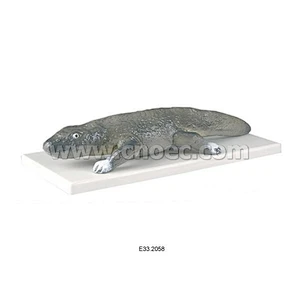 Model of Paleozoic Cayman