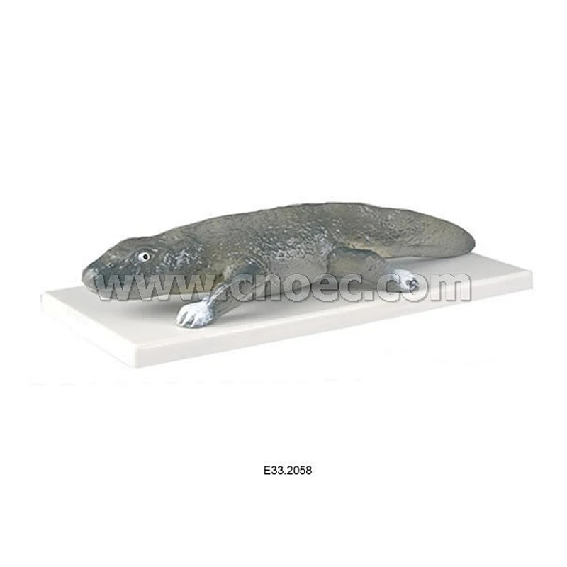 Model of Paleozoic Cayman