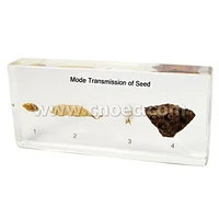 Mode transmission of Seed