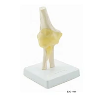 Elbow Joint