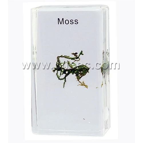 Crystal Specimen, Moss