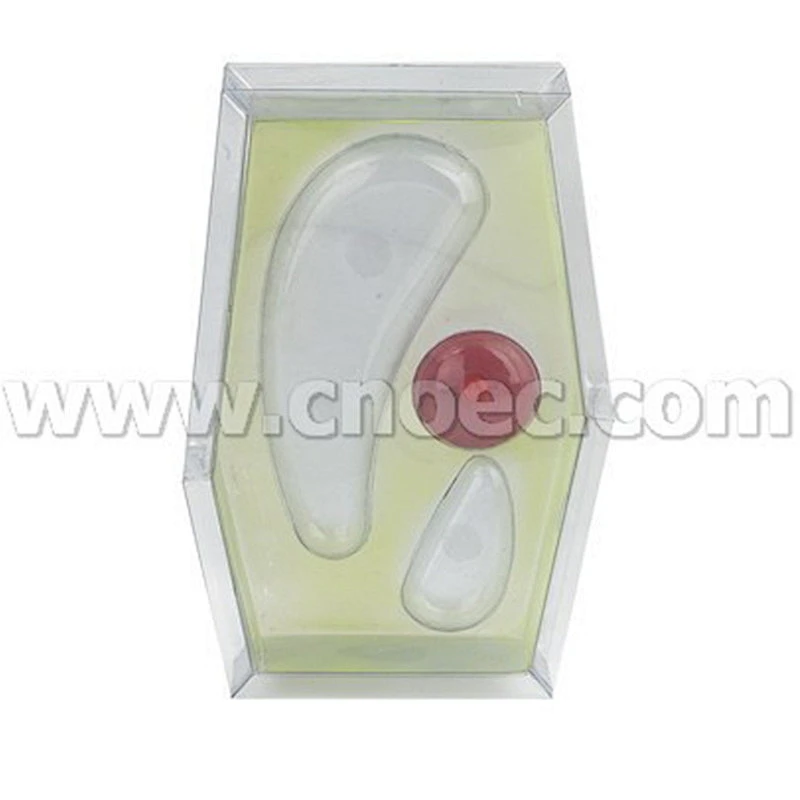 Plant Cell Model