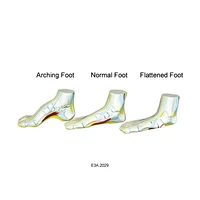 Foot Set