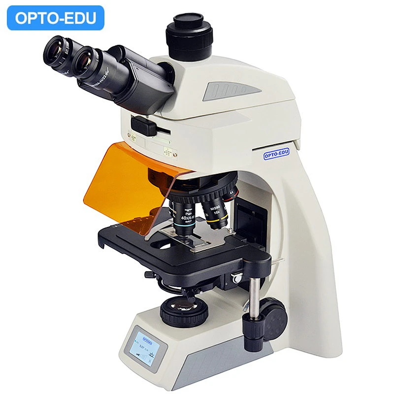 Microscopio LED fluorescente, trinocular, B,G