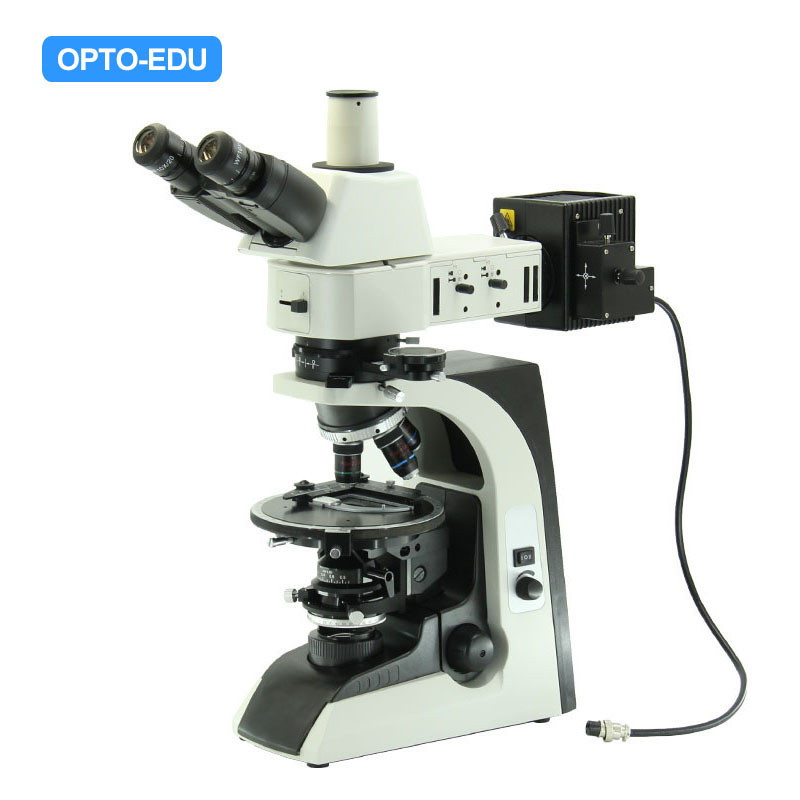 Microscopio polarizzatore, trasmissione e riflessione