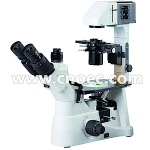 Microscopio invertito, illuminazione Kohler, binoculare