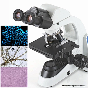 生物顕微鏡、双眼、無彩色