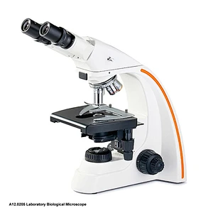 Mikroskop Biologi Makmal, Binokular