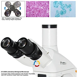 Microscopio biologico da laboratorio, trinoculare